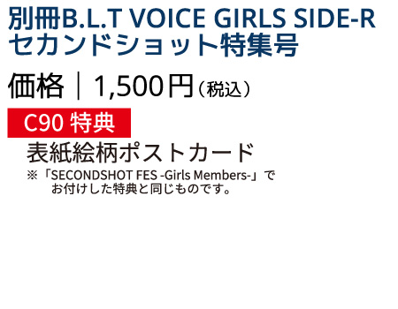 「別冊B.L.T VOICE GIRLS SIDE-R セカンドショット特集号 価格